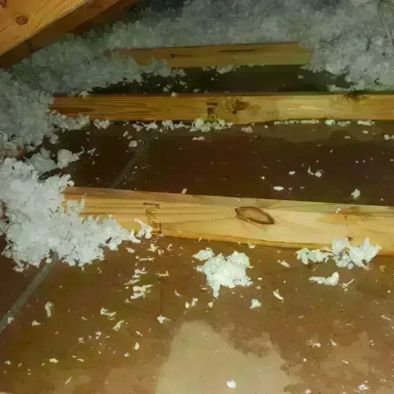 Attic Water Damage in Gorham, ME