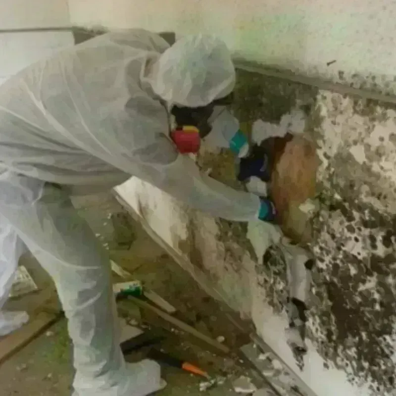 Mold Remediation and Removal in Gorham, ME